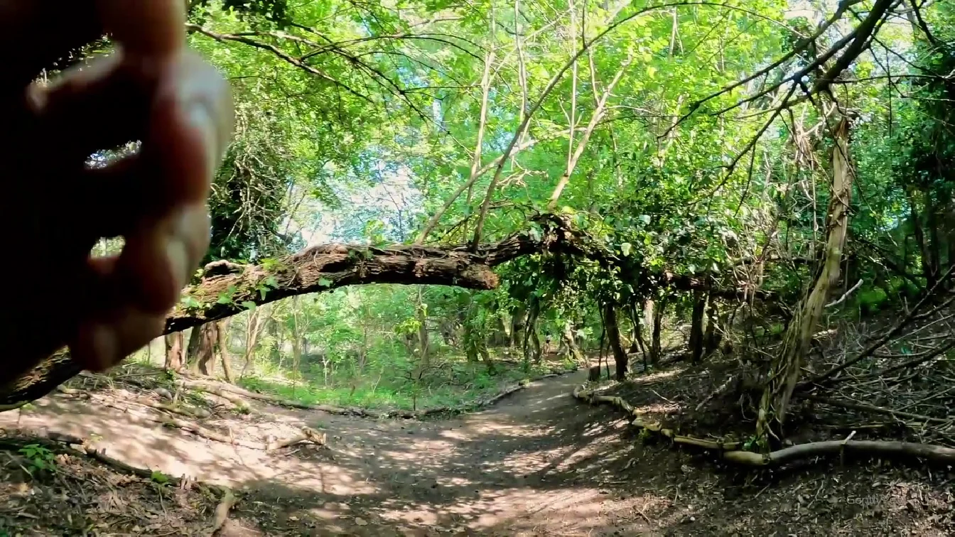 OnlyFans GentlyPerv Suck The Cock XXX